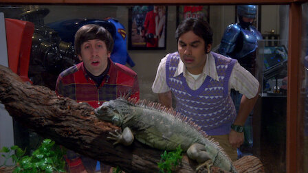 Watch The Misinterpretation Agitation. Episode 7 of Season 8.